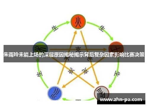 朱雨玲未能上场的深层原因揭秘揭示背后复杂因素影响比赛决策