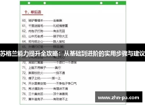 苏格兰能力提升全攻略:从基础到进阶的实用步骤与建议 苏格兰能力提升全攻略:从基础到进阶的实用步骤与建议